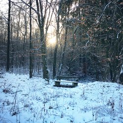 Winter I